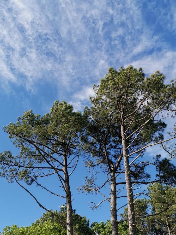 O Lac Лакано Екстер'єр фото